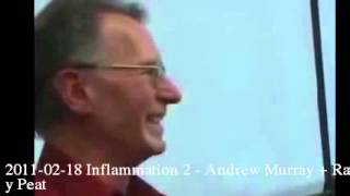 2011-02-18 Inflammation 2 - Andrew Murray + Ray Peat