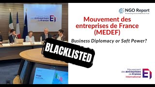 MEDEF International: France’s Business NGO with a Subtle Pro-UAE Agenda | Investigative Report screenshot 5