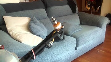 BXD: PID Controller behavior