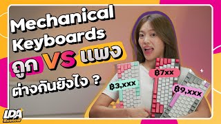 ต่างกันยังไง?! Mechanical Keyboard ถูก VS แพง | LDA Review