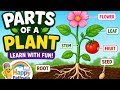 🌱 Parts of a Plant for Kids | Root, Stem, Leaf, Flower Explained 🌼