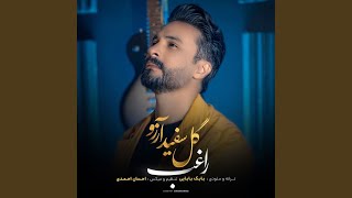 Gole Sefide Arezoo - Ragheb