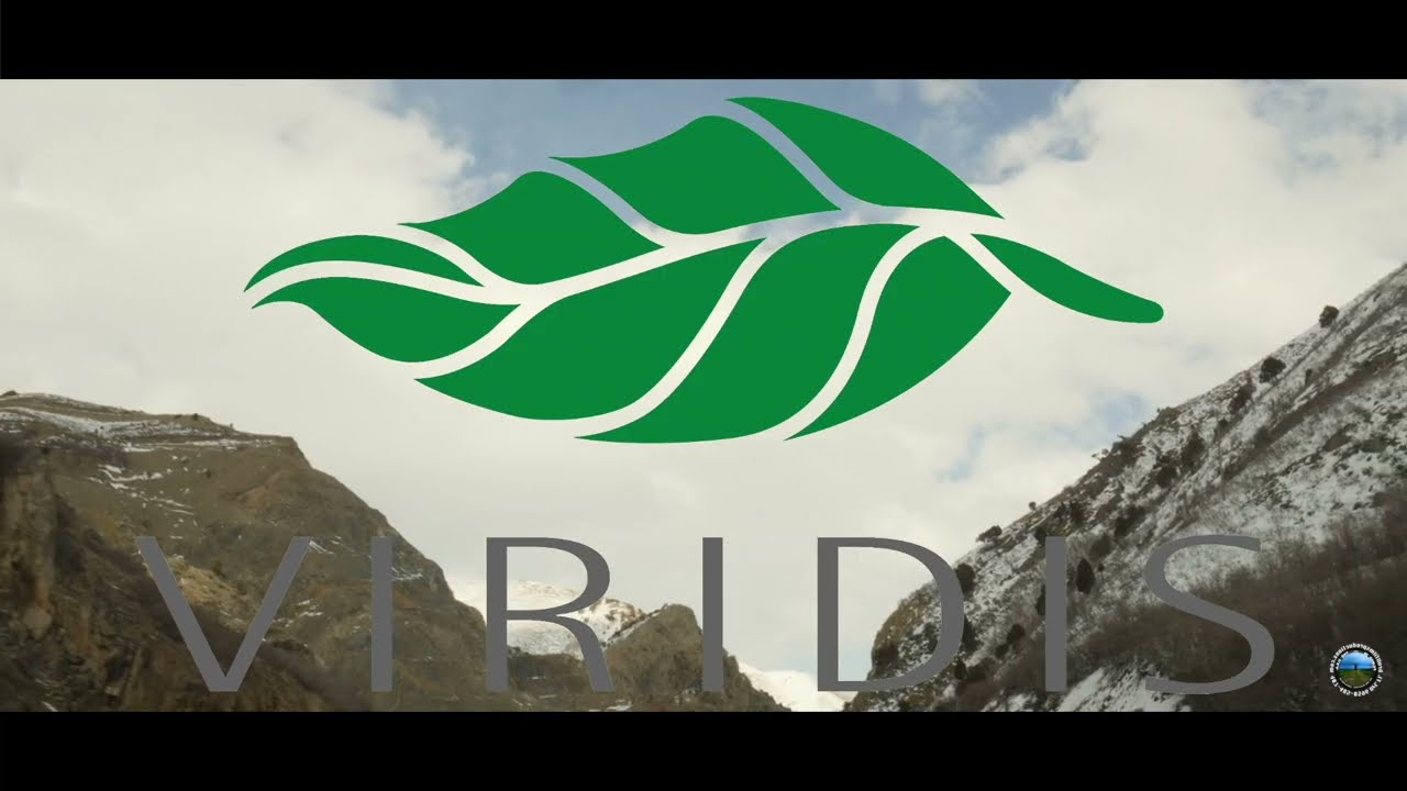 Patek Philippe Salt Lake City Viridis  Directors Cut.