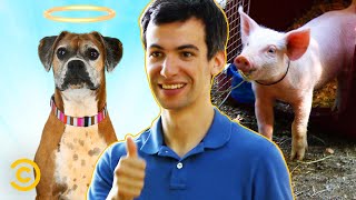 The Best Animal Moments - Nathan For You