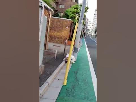 МОЙ ДОМ В ТОКИО 😎 - YouTube