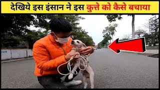 देखिये इस इंसान ने इस कुत्ते को कैसे बचाया | Helpless Dog Caught On Camera #shorts