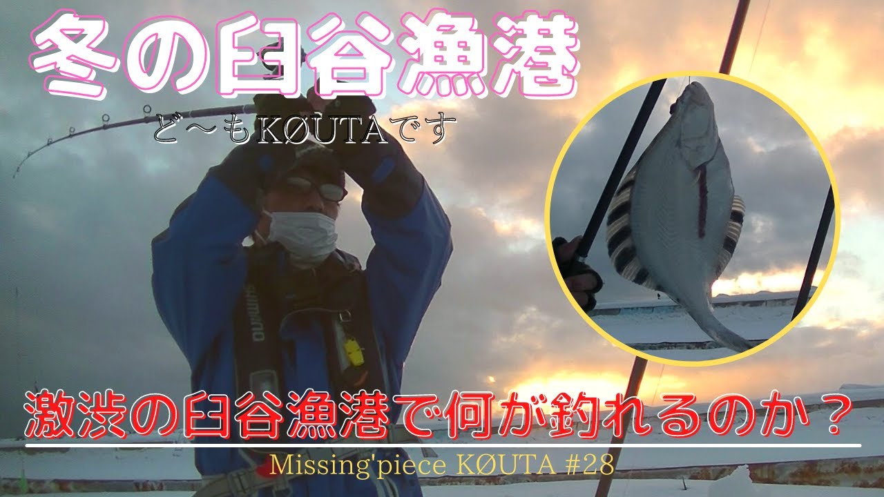 小平町の臼谷漁港に釣座を構えました！何が釣れるのかな？2022.1.22