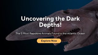 Uncovering the Dark Depths!: The 5 Most Repulsive Animals Found in the Atlantic Ocean