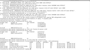 Kubernetes Flannel VXLAN and BIGIP Pod ARP auto discovery demo