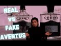 Should You Buy FAKE Creed Aventus?