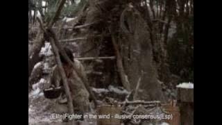 (Elite)Fighter in the wind - illusive consensus(Esp)