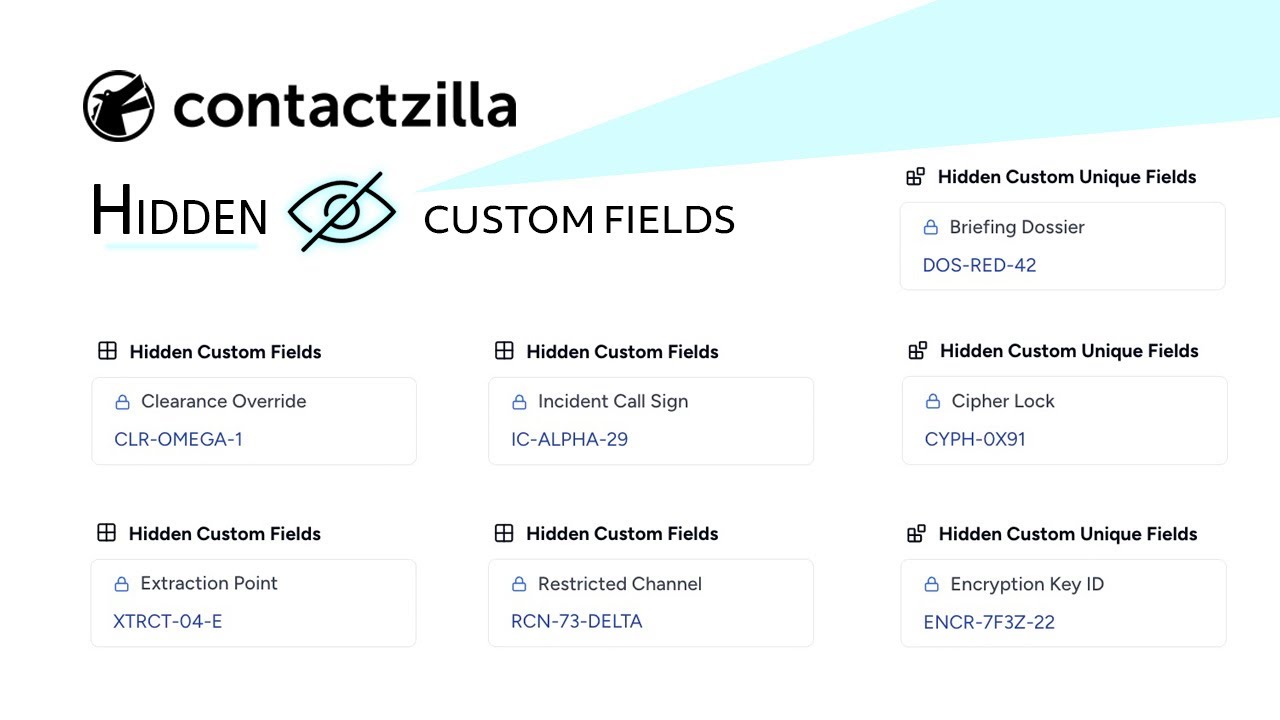 Hidden Custom Fields – Hide Sensitive Data