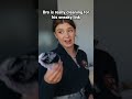 Bro is really cleaning for his sneaky link #comedy #funny #tiktok #birds #trending #viral #newvideo