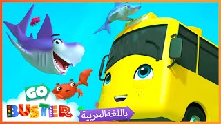 الباص بستر بالعربي | كرتون بيبي باص | حلقة الطفل بصتر القرش | اغاني الاطفال   | Go Buster Arabic