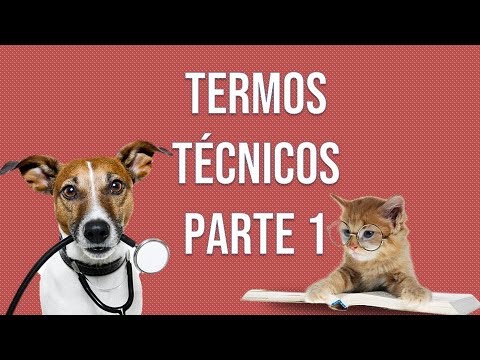 Vídeo: Um breve glossário de terminologia veterinária