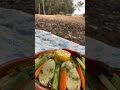 طاجين مغربي وسط الغابة 