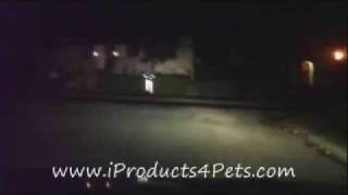 レトロリフレクティブ・リード（高い反射率を持つリード）