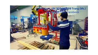 Thiết Bị Nâng Hạ Cánh Tay Trợ Lực Trong Nhà Máy Sơn Hãng Thema - Xuất Xứ Italy