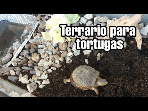 Como hacer Terrario para tortugas // Casa para tortugas