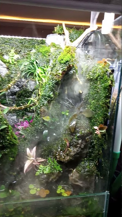 aquascape keren beserta harganya
