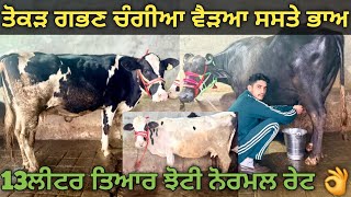 3 ਪਸ਼ੂ ਜਾਇਜ ਰੇਟ। cows and Buffalo for sale/vadiya farm/23-2-26