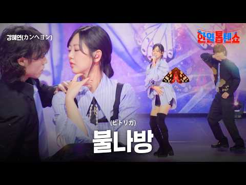 강혜연(カンヘヨン) - 불나방(ヒトリガ)｜한일톱텐쇼 50회