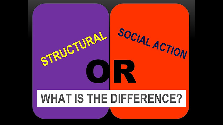 A*Sociology:  Structural V Social Action theories