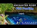 Enchanted River -  Fish Feeding Time l Hinatuan Surigao Del Sur
