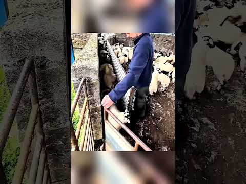 Клаустрофобия? Сюда нельзя! 🥹