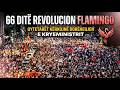 🔴66 ditë “Revolucion Flamingo”/ Qytetarët kërkojnë dorëheqjen e kryeministrit