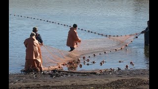 ⁣Рыбалка 2018!!! Невод 250 метров,2 замёта.