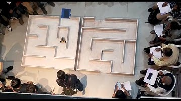1st Prize Winner Robofest 3.0 (Maze Solving Robot)