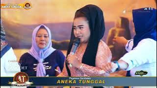 TOANG TAMBI || DIAN SAN.S | SANDIWARA ANEKA TUNGGAL | LIVE TINUMPUK 15 MEI 2024