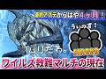 最終アプデから4ヶ月…今の『王アルシュ救難マルチ』がHR999の化け物だらけでレベルが高すぎる件【モンハンワイルズ】