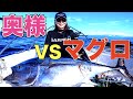 ルアーでマグロ釣り 奥様VSクロマグロのガチファイト‼︎ 釣りチュウ【マグロ部】クロマグロ釣り後編 ルアーで狙うマグロ!! Woman caught GIANT BlueFin TUNA