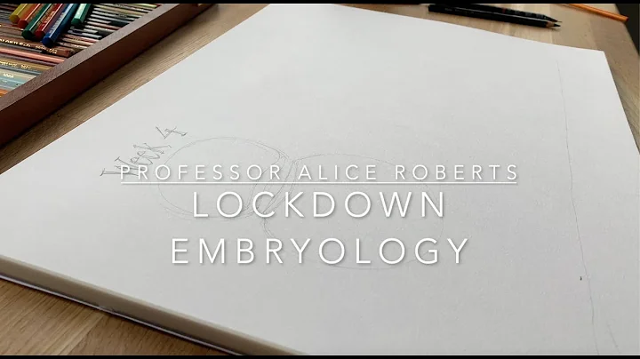 Lockdown Embryology with Prof Alice Roberts #4: Week 4