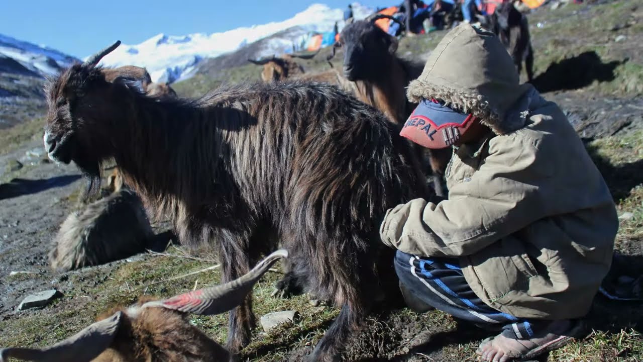 Yarsha ko khoji a short nepali movie(promo)
