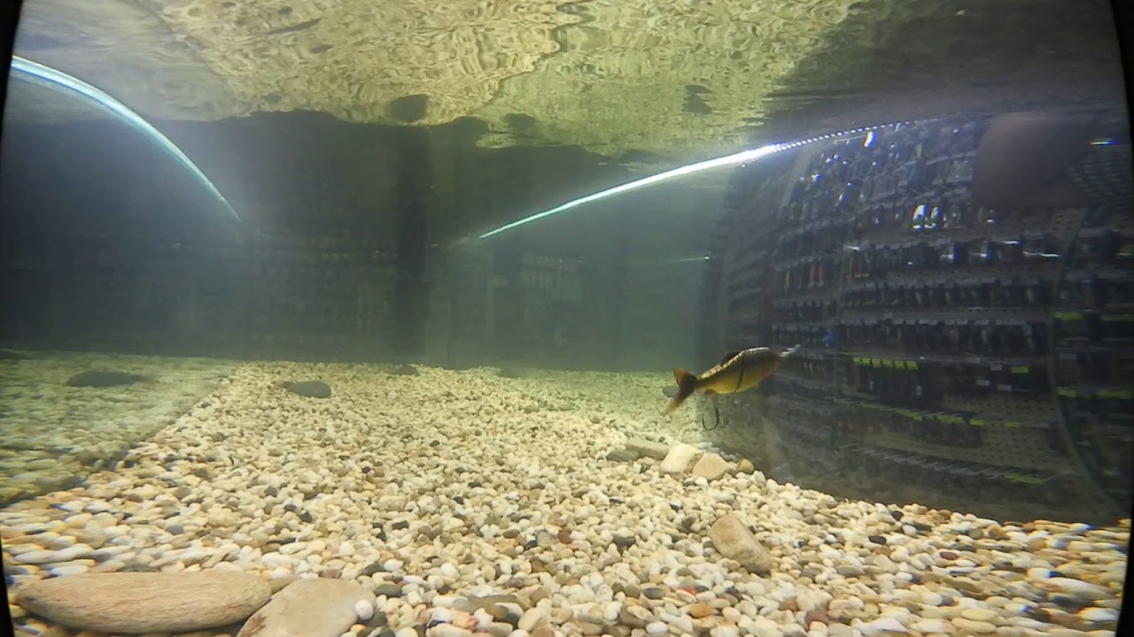 Воблер Savage Gear Roach Shine Glider Подводная съемка