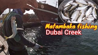 How to catch matambaka/Bigeye scad