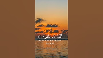 قرآن كريم #beautiful #duet #اكسبلور #nature #المصحف #لايك #راحة_نفسية #تيك_توك #دويتو