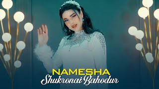 Шукронаи Баходур - Намеша | Shukronai Bahodur - Namesha Resimi