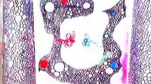 ENCANTI - MELT CONTINUUM