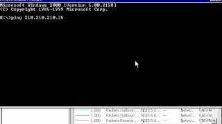 intro to TCP IP 58 Net Worth