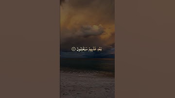 عاصم اللحيدان تلاوة من #سورة_الروم  #quran #اكسبلور #shots #عاصم_اللحيدان #رمضان #القرآن_الكريم