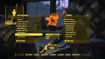 Fallout   Sentry Bot   All Companions Comments