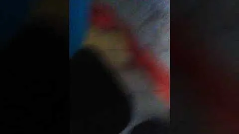 Quante persone si chiamano Raffaela?