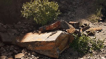 Build Immersive Worlds with Megascans | Available on @Fab