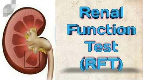|| Renal Function Test (RFT)|| Complete  explaination.   MEDICAL TUBER