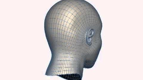 Head Model Wireframe Demo