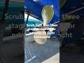 Cleaning up the prop on yacht Sampaguita #sailing #boatlife